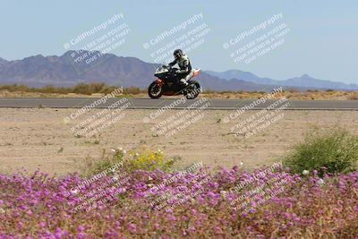 media/Mar-12-2023-SoCal Trackdays (Sun) [[d4c8249724]]/Turn 15 Inside Bloom (130pm)/